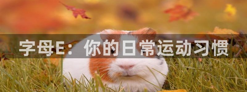 球客岛