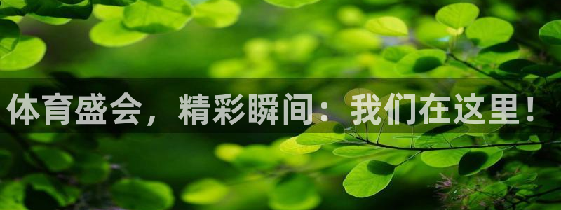 球客岛