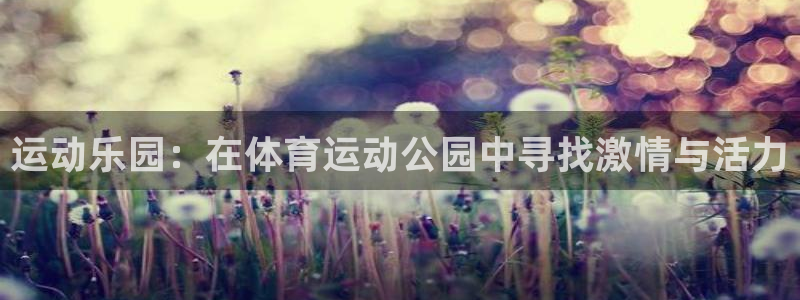 球客岛：运动乐园：在体育运动公园中寻找激情与活力