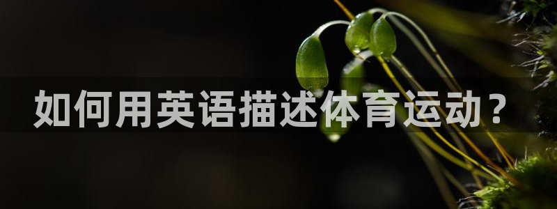 球客岛：如何用英语描述体育运动？