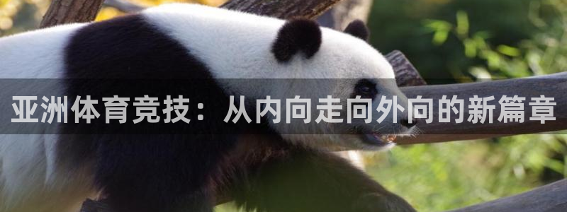 球客岛：亚洲体育竞技：从内向走向外向的新篇章