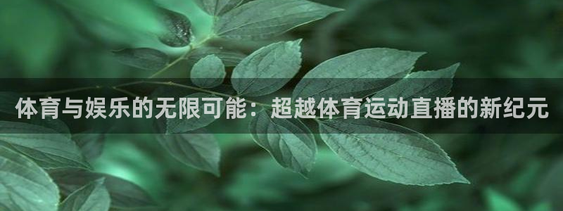 球客岛：体育与娱乐的无限可能：超越体育运动直播的新纪元