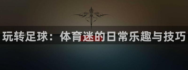 球客岛：玩转足球：体育迷的日常乐趣与技巧